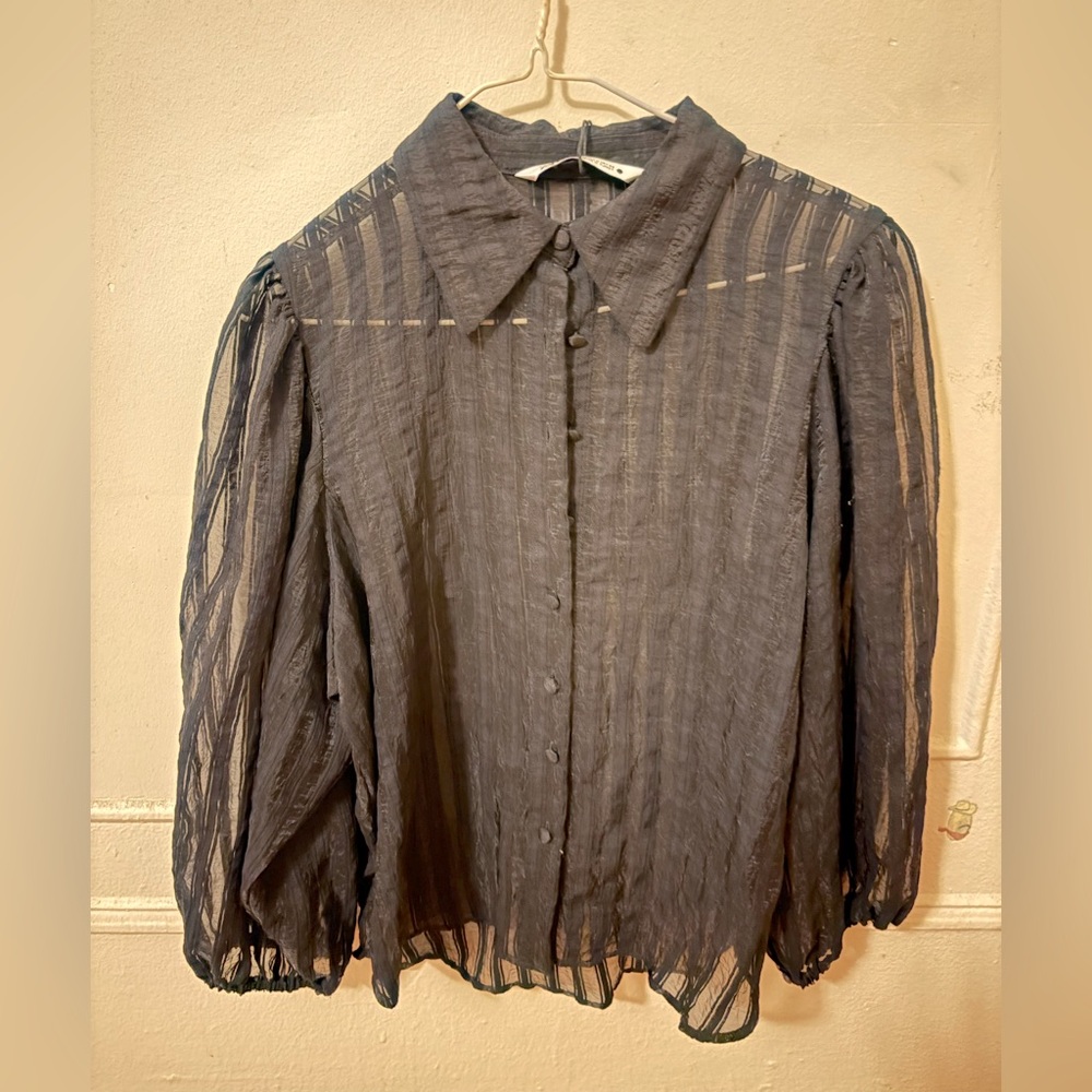 Zara striped sheer organza blouse